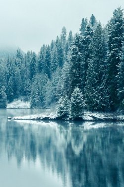 55-559960_winter-lake-wallpaper-hd-iphone-x-wallpaper-winter.jpg