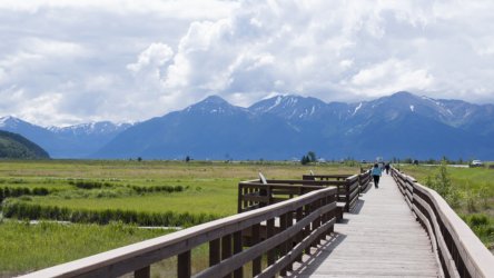 Potter-March-Wildlife-Refuge-Anchorage-Alaska.jpg