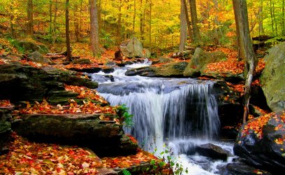autumn-stream-1.jpg