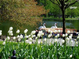 1280px-Boston_Public_Garden.JPG