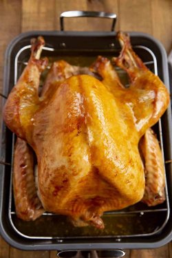 Roast-Turkey-4.jpg Roast-Turkey-4.jpg