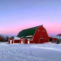 red barn in snow.jpg