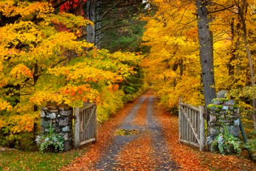 lake-placid-lane.jpg