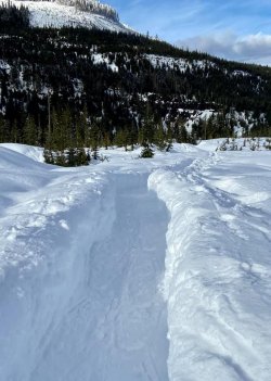 path in snow.jpg