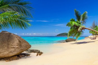 tropical-beach-scenery-thailand-35887151.jpg