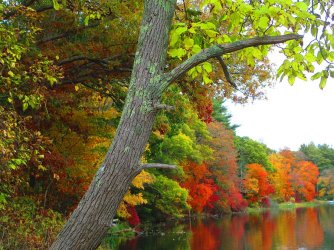 autumn-in-new-england-roberta-trabish.jpg