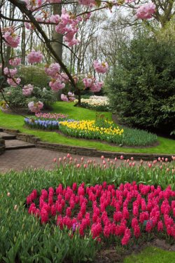spring-flower-garden-11281366664wzK0.jpg