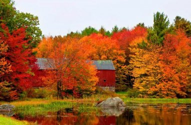 barn.jpg