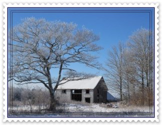 building and snow.jpg