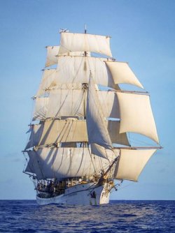 591b238b567c4.image.jpg