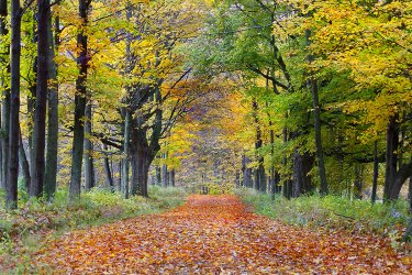 Berkshires.jpg