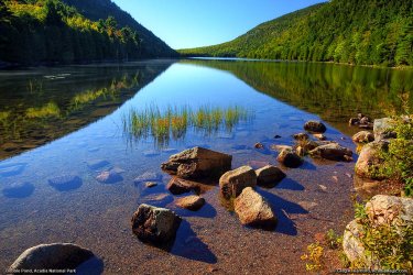 bubble-pond-9155.jpg
