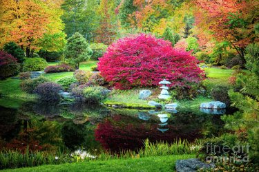 asticou-azalea-garden-in-the-fall-anita-pollak.jpg