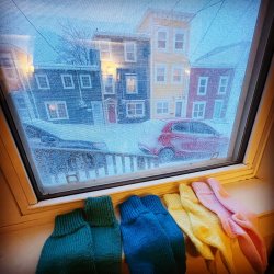 out the window st. john's nl.jpg