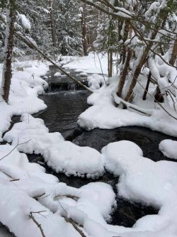 snowy brook.jpg