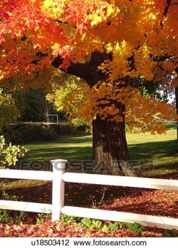 groton-ma-massachusetts-autumn-stock-image__u18503412.jpg