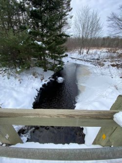 snowy brook 2.jpg