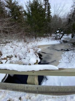 snowy brook 3.jpg