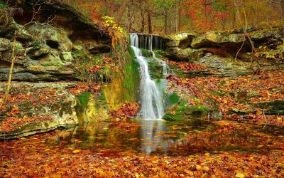 autumn-stream-64.jpg