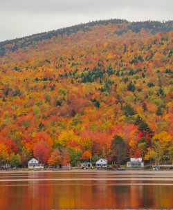 fall2(1+of+1).jpg