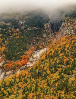 1-crawford-notch-fall-foliage-dan-sproul.jpg