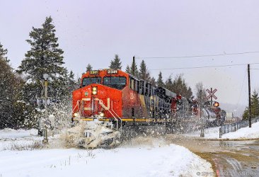 nb train.jpg