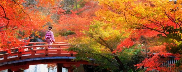 800x320xJapan-Gardens.jpg.pagespeed.ic.v9zKEve4wR.jpg