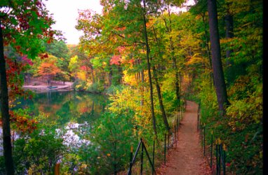 walden-pond-trail-autumn.jpg