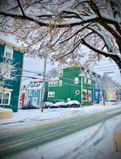 st. johns nl 3.jpg