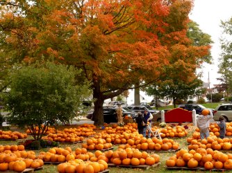 pumpkins-fall-new-england.jpg