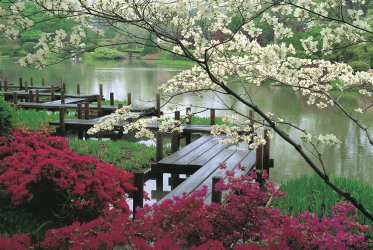 japanese-garden-jjennings-design.jpg