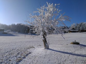 winter-2148333_960_720.jpg