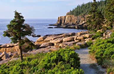 acadia1.jpg