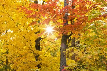 091516_leaf_peeping_places_slide_4_fs.max-420x243.jpg