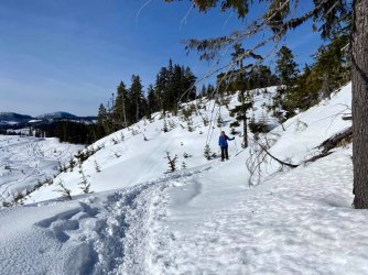 snow shoeing.jpg