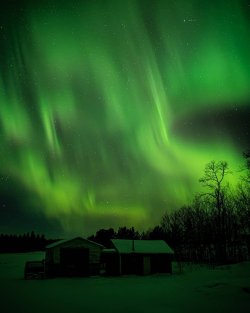 northern lights.jpg