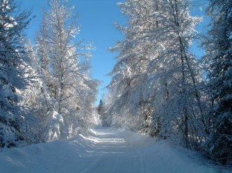 winterwalk01.jpg