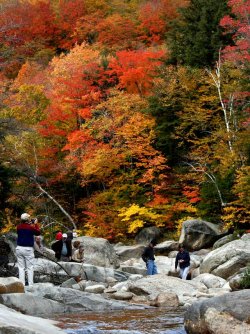 67c63150-8759-4999-87d8-3c9a912a9c78-AP_Travel_Kancamagus_Highway.JPG