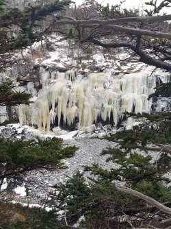 icy waters.jpg
