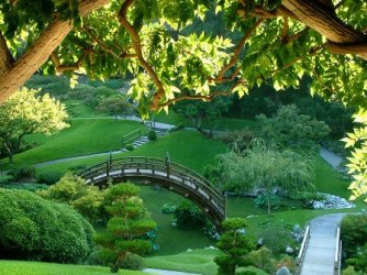 Garden6.jpg