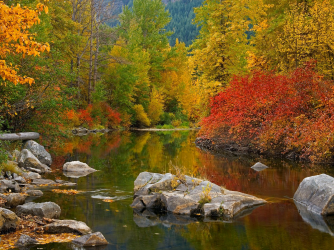 Fall_Lake_Background.png
