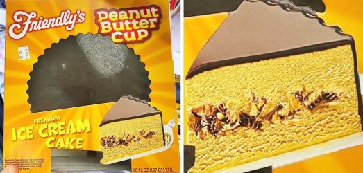 peanut-butter-cup-ice-cream-cake-QT-1200x800.jpg