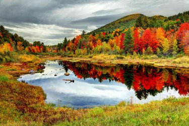 autumn-foliage-in-the-white-mountains-of-new-hampshire-647676896-e919756e21134650a0d96fc4c0472...jpg