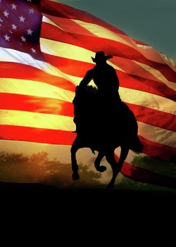 americana-patriotic-country-western-american-flag-stephanie-laird.jpg