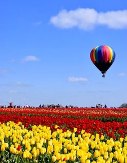 very-beautiful-scenery.jpg