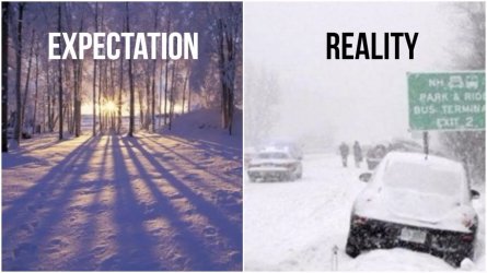 55-funny-winter-memes-featured.jpg