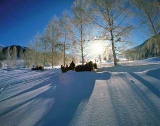 austria-winter-horse-and-sleigh-ride.jpg