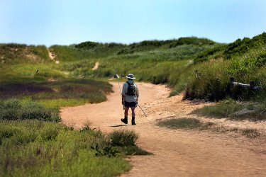 Great-Island-Trail-Wellfleet.jpg