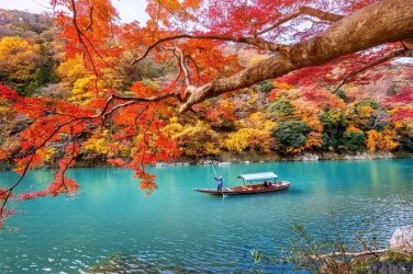 japan-autumn-cover.jpg