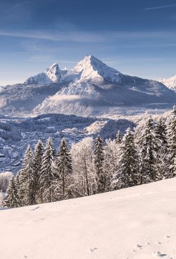 things_switzerland_winter_575x843.jpg